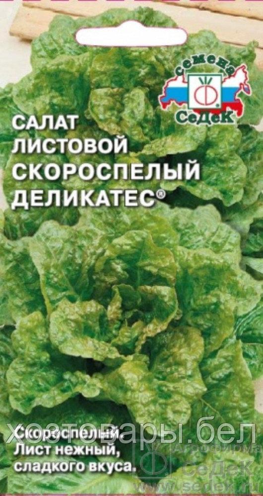 Салат Скороспелый деликатес листовой 0.5г Ранн (Седек) - фото 1 - id-p223609899