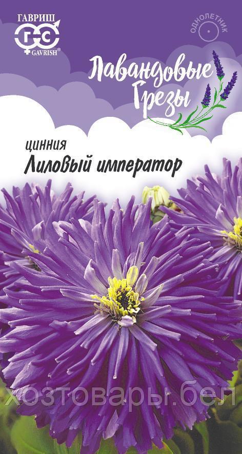 Цинния Лиловый император 0,2г Одн 90см (Гавриш) Лавандовые грезы