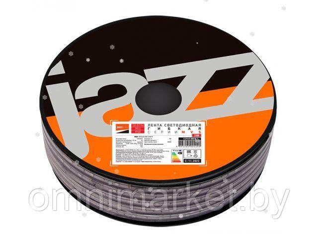 Лента светодиодная MVS-2835/60 R 3,8 Вт/м, IP68, 220В (100м) красный JAZZWAY - фото 1 - id-p185574320