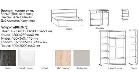 Спальня Вегас модульная фабрика Рикко, фото 2