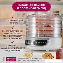 Сушилка для овощей и фруктов Мастерица EFD-1002VM, фото 2