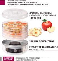 Сушилка для овощей и фруктов Мастерица EFD-1002VM, фото 3
