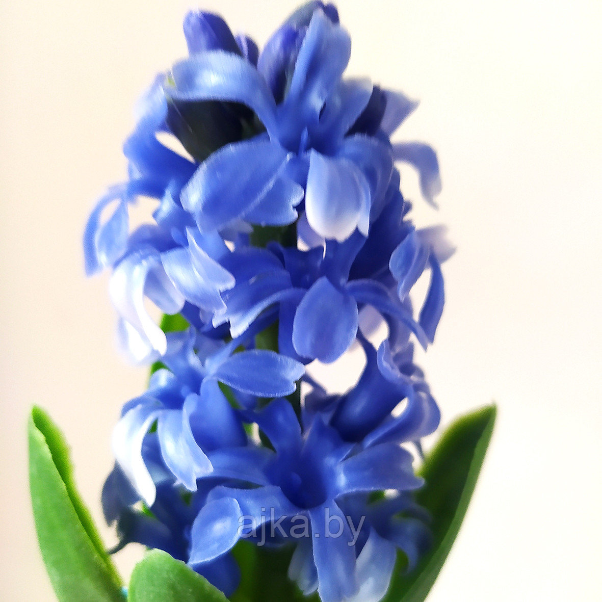 Гиацинт декоративный 30 см, синий - фото 6 - id-p223640378