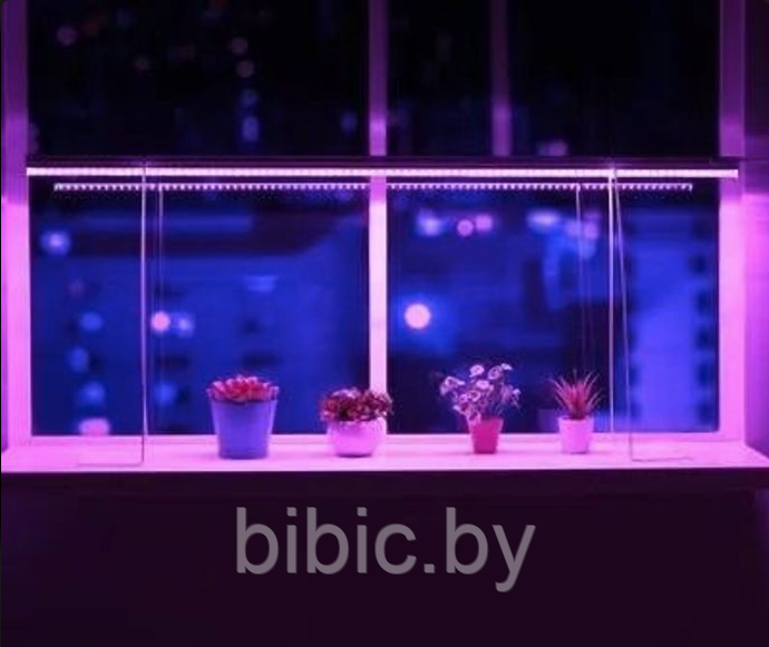 Светильник лампа для рассады домашний Фито красно-синего спектра фитолампа освещение для выращивания растений - фото 4 - id-p223642144