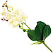 Цветок "Орхидея белая" с корнем 43см (Китай), фото 2