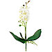 Цветок "Орхидея белая" с корнем 43см (Китай), фото 3