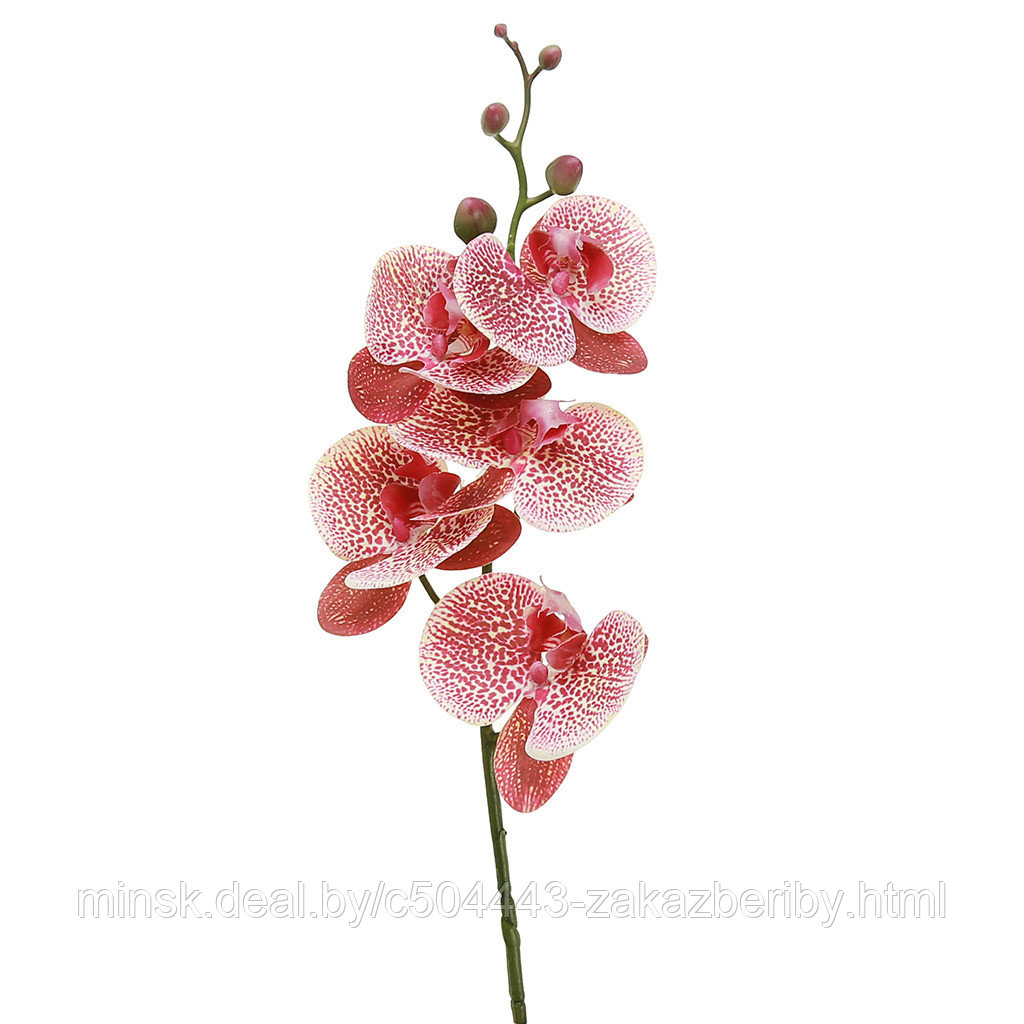 Цветок "Орхидея" цвет - тигровая фуксия, 86см, 5 цветков, 5 бутонов (Китай)