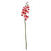 Цветок "Орхидея" цвет - тигровая фуксия, 86см, 5 цветков, 5 бутонов (Китай), фото 2