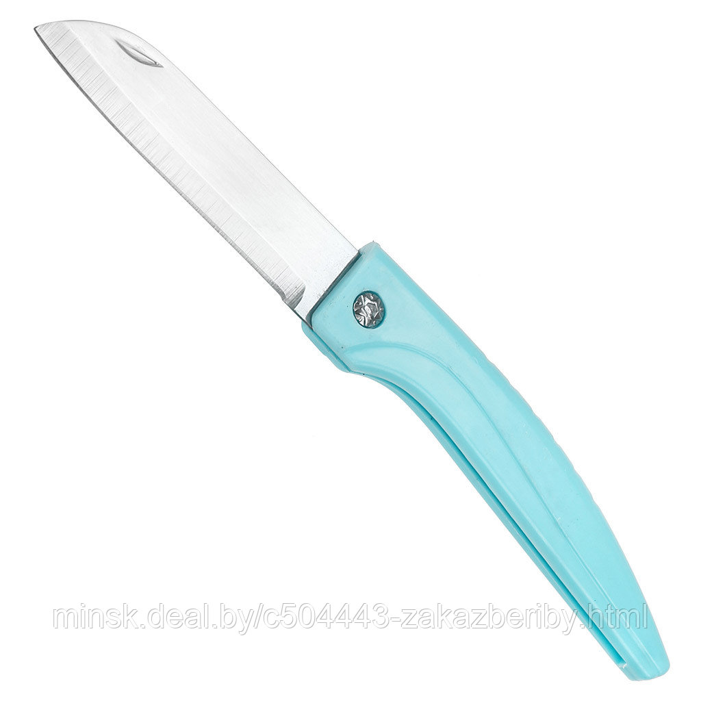 Нож складной из нержавеющей стали "Евгений" 75мм, цветная пластмассовая ручка, в п/эт пакете, цвета в
