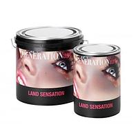 Краска Generation Art Land Sensation 2,5 л.