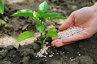 Семена и защита растений