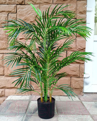 Искусственное растение ForGarden Дерево Areca Palm / FGN BF01702 - фото 1 - id-p223702654
