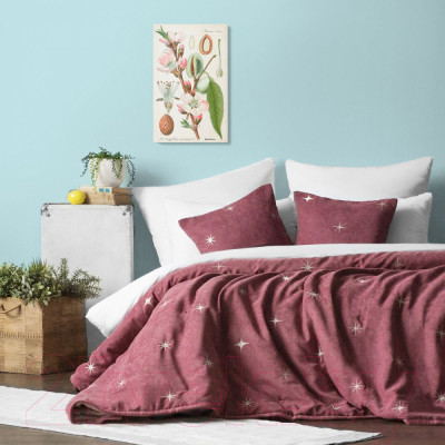 Набор текстиля для спальни Pasionaria Бэлли 160x220 с наволочками - фото 5 - id-p223707272