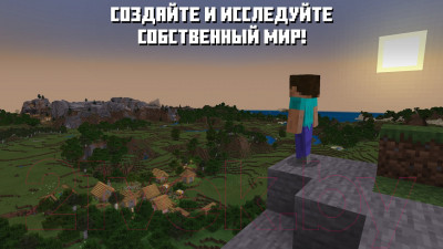 Игра для игровой консоли Nintendo Switch Minecraft / 45496420628 - фото 3 - id-p223710703