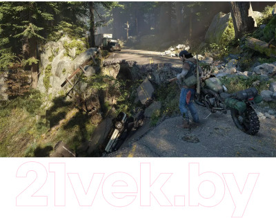 Игра для игровой консоли PlayStation 4 Days Gone - фото 3 - id-p223715569