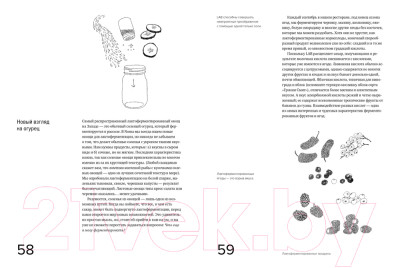 Книга КоЛибри Гид по ферментации от Noma - фото 3 - id-p223710396
