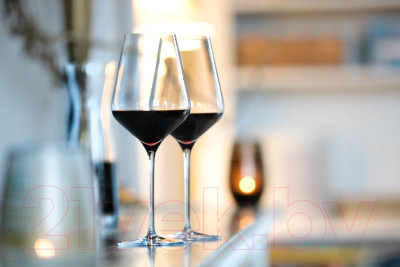Набор бокалов Stolzle Quatrophil Red Wine 2310001-2 - фото 5 - id-p223714060