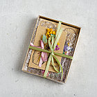 Мини открытка с сухоцветами, 1 шт, фото 2