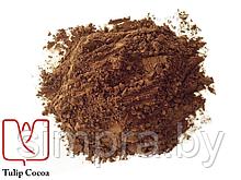 Какао-порошок 100гр алкализованный 10-12%, TULIP, Германия