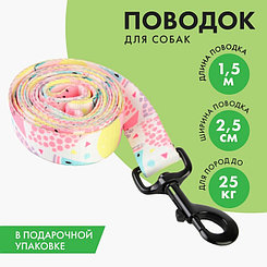 Поводок «Сочное настроение», 2.5 см, 1.5 м