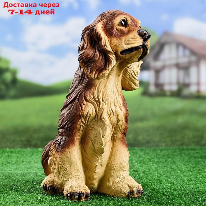 Садовая фигура "Собака Спаниель cидящий" рыжий, 35х25см - фото 2 - id-p222843413