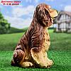 Садовая фигура "Собака Спаниель cидящий" рыжий, 35х25см, фото 3