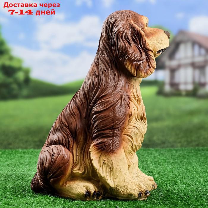 Садовая фигура "Собака Спаниель cидящий" рыжий, 35х25см - фото 3 - id-p222843413