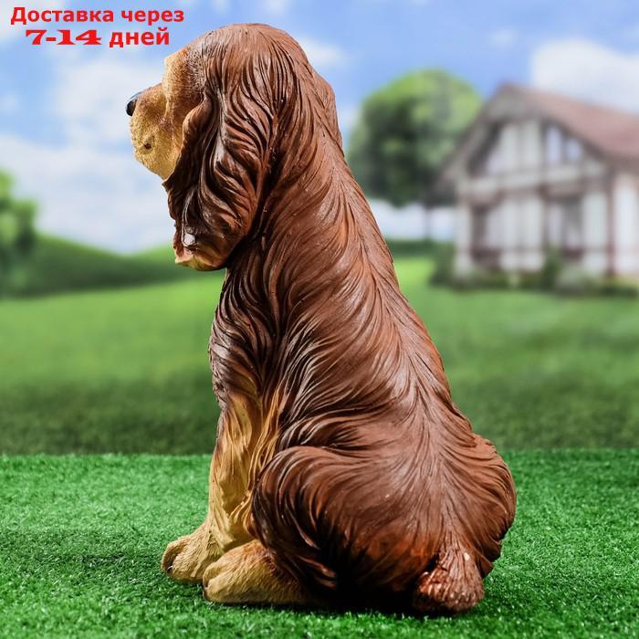 Садовая фигура "Собака Спаниель cидящий" рыжий, 35х25см - фото 4 - id-p222843413