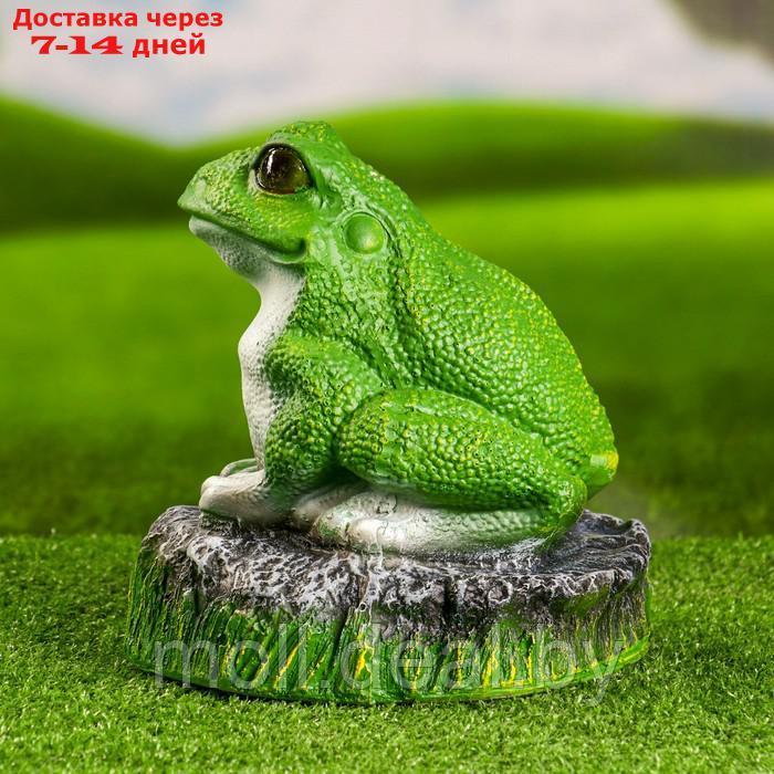 Садовая фигура "Лягушка на камне" 22см - фото 3 - id-p223662524