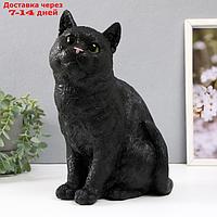 Копилка "Кошка Черная окраска" высота 31,5 см, ширина 16 см, длина 24 см.
