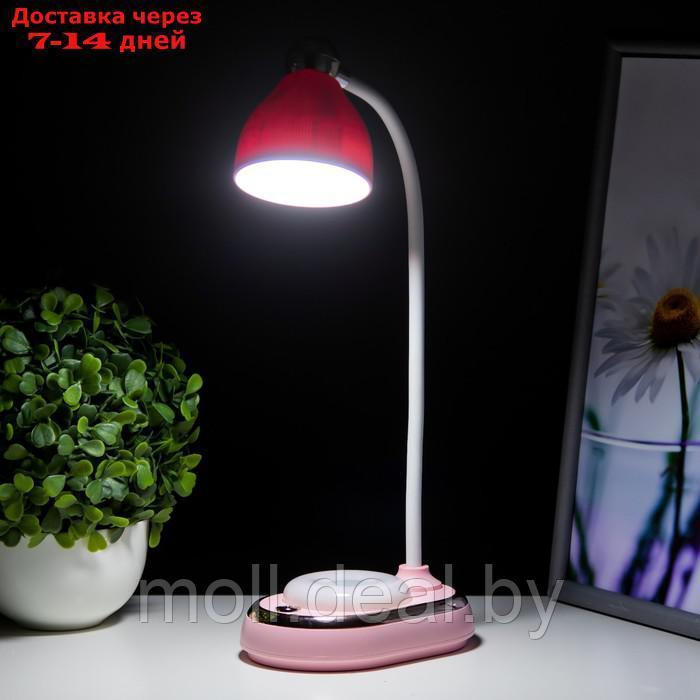 Настольная лампа "Тедди" LED 3Вт АКБ USB розовый 9х13,5х40 см - фото 4 - id-p223663230