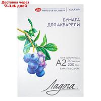 Бумага для Акварели в папке А2, ЗХК "Ладога", 20 листов, 200 г/м2, среднезернистая, 252781931