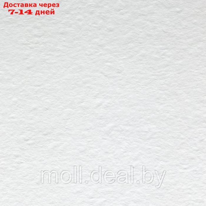 Бумага для Акварели в папке А2, ЗХК "Ладога", 20 листов, 200 г/м2, среднезернистая, 252781931 - фото 4 - id-p223667595