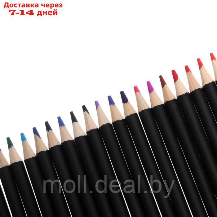 Карандаши художественные цветные BRAUBERG ART CLASSIC, 48 цветов, МЯГКИЙ грифель 3,3 мм, 181539 - фото 3 - id-p223663320