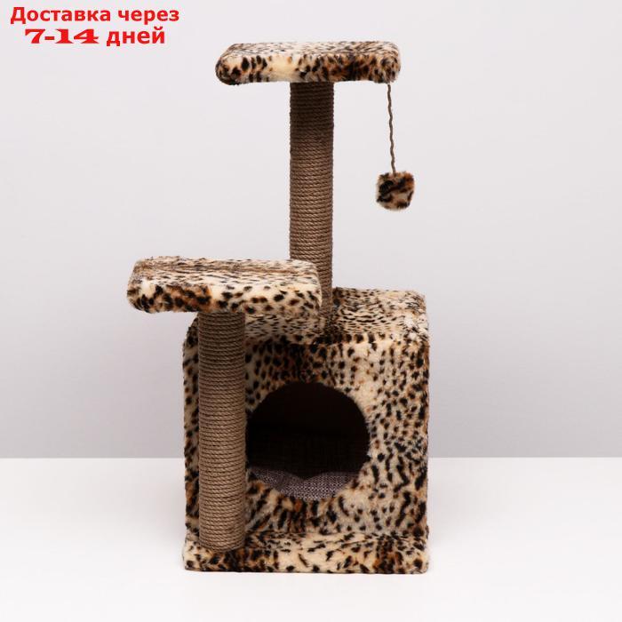 Домик-когтеточка "Квадратный трёхэтажный с двумя окошками", джут, 45×47×75 см, леопард - фото 2 - id-p223666002