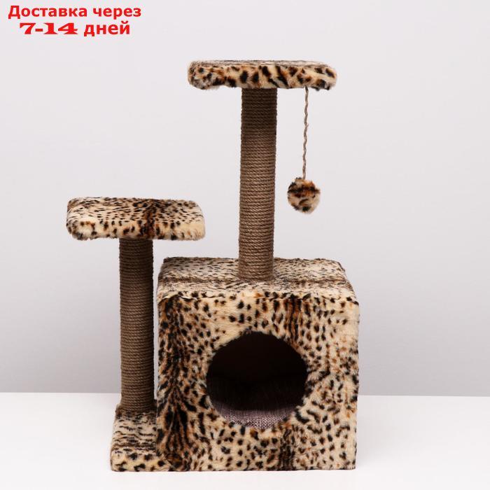 Домик-когтеточка "Квадратный трёхэтажный с двумя окошками", джут, 45×47×75 см, леопард - фото 3 - id-p223666002