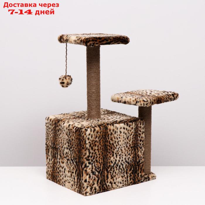 Домик-когтеточка "Квадратный трёхэтажный с двумя окошками", джут, 45×47×75 см, леопард - фото 4 - id-p223666002