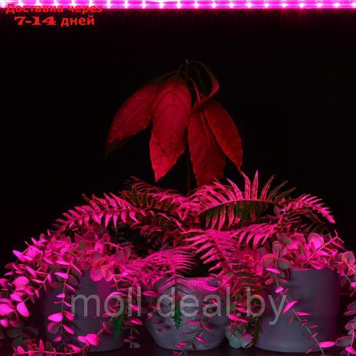 Светильник Фито для растений линейный, 15 Вт, L 87 см, полный спектр, IN HOME - фото 10 - id-p223667825
