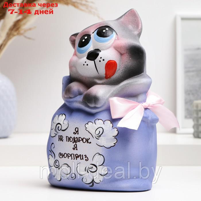 Копилка "Кот в мешке - Я не подарок, я сюрприз" серый с фиолетовым, 22см - фото 7 - id-p223663446
