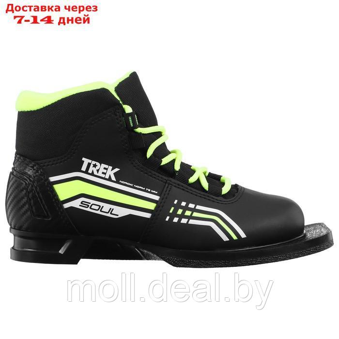 Ботинки лыжные TREK Soul 1 NN75 ИК (черный, лайм неон) (р.46) - фото 1 - id-p223663483
