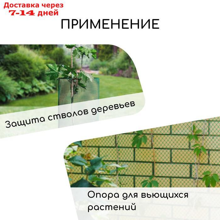 Сетка садовая, 1 × 20 м, ячейка 1.5 × 1.5 см, зелёная, Greengo - фото 3 - id-p223666311
