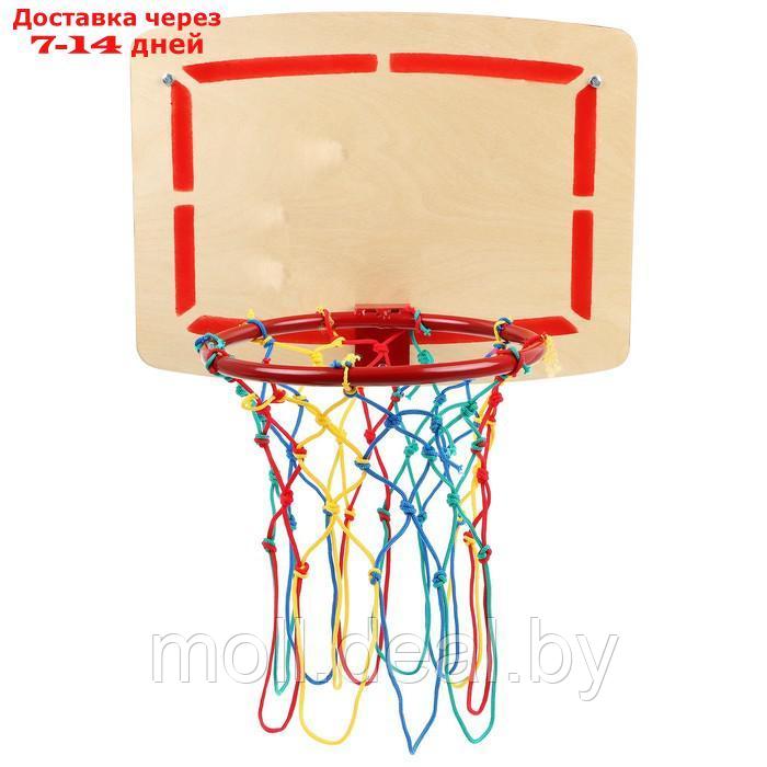 Кольцо баскетбольное для дск с малым щитом - фото 2 - id-p223648367