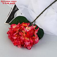 Цветы искусственные "Гортензия элит" d-18 см 50 см, красный