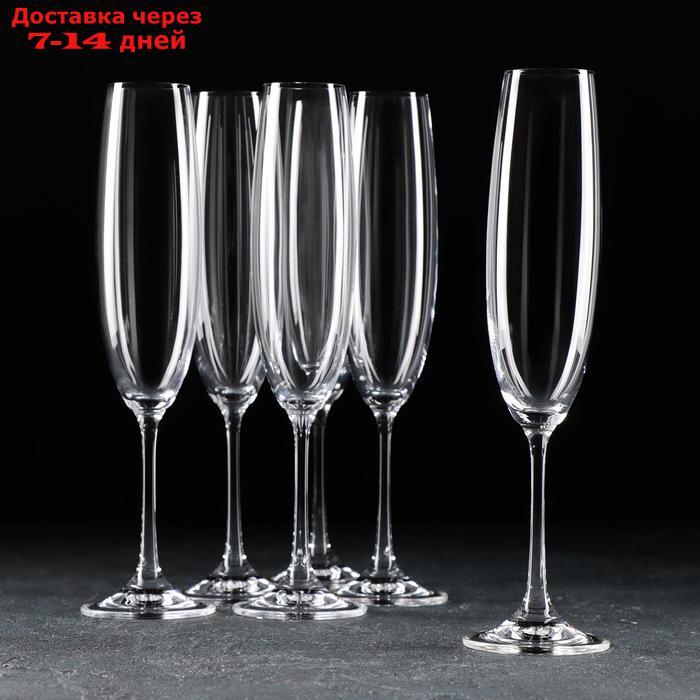 Набор бокалов для шампанского Milvus, 250 мл, 6 шт - фото 1 - id-p223666930