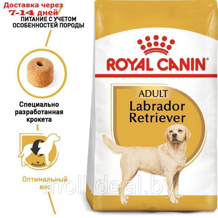 Сухой корм RC Labrador Adult для лабрадора, 3 кг - фото 3 - id-p223664211