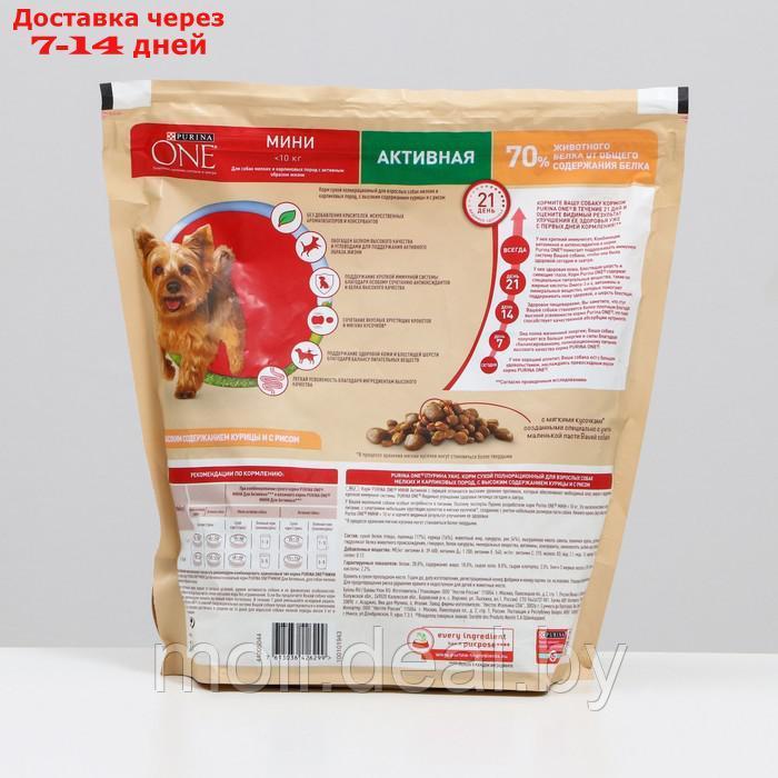 Сухой корм Purina One mini "Активная" для собак мелких пород, курица/рис, 1,5 кг - фото 2 - id-p223648856
