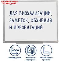 Доска магнитно-маркерная стандарт, 45 х 60 см, алюминиевая рамка, гарантия 10 лет