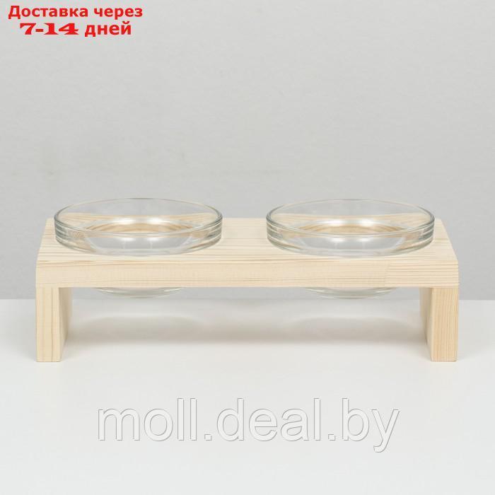 Подставка двойная с мисками из прозрачного стекла 30 х 14,5 см х 6,5 см, 2х250 мл - фото 2 - id-p223665568