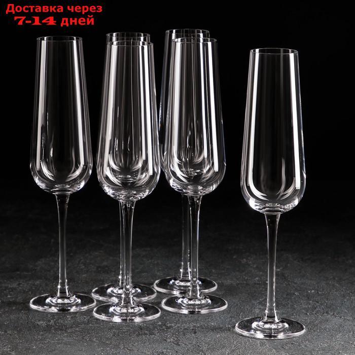 Набор бокалов для шампанского Ardea, 220 мл, 6 шт - фото 1 - id-p223664814