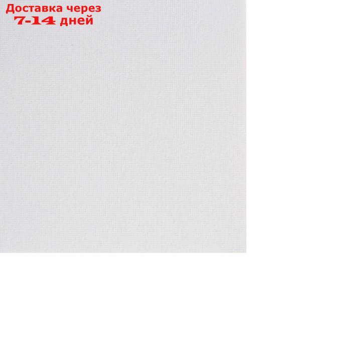 Холст на картоне 50 х 70 см, хлопок 100%, 3 мм, акриловый грунт, мелкозернистый, ЗХК "Сонет" - фото 7 - id-p223668452